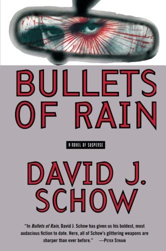 Bullets of Rain: A Novel of Suspense