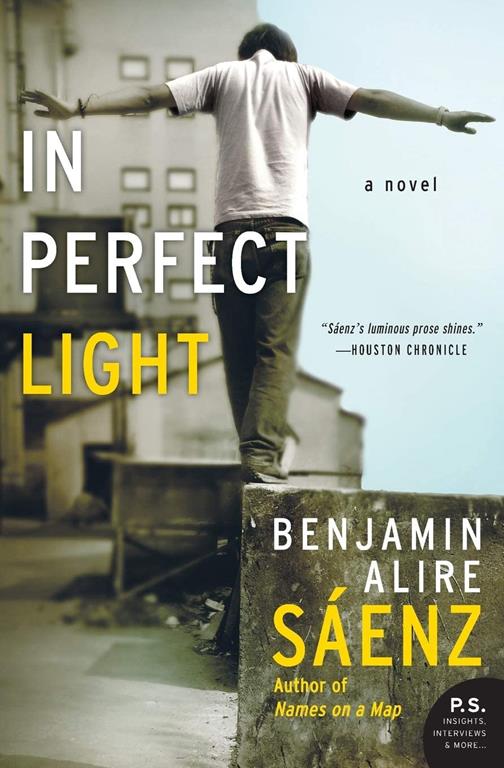 In Perfect Light: A Novel