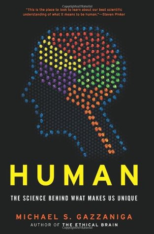 Human