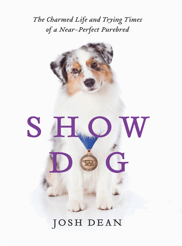 Show Dog