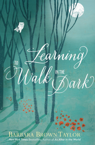 Learning to Walk in the Dark