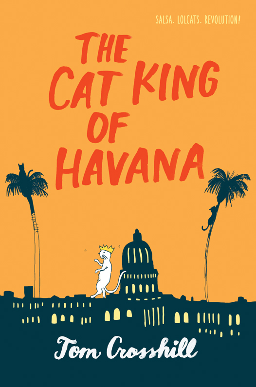 The Cat King of Havana