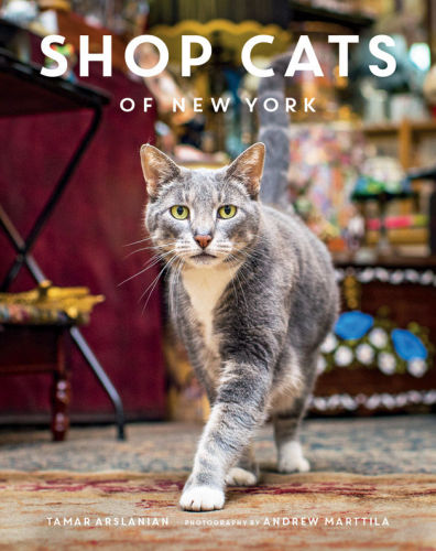 Shop Cats of New York