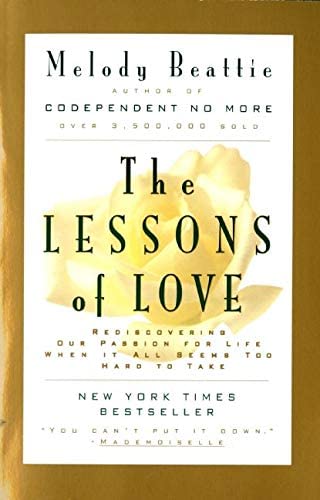 The Lessons of Love: Rediscovering Our Passion for Life When It All Seems Too Hard to Take