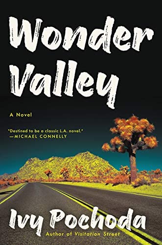 Wonder Valley: A Novel