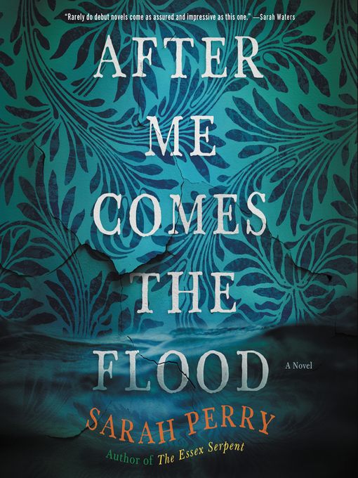 After Me Comes the Flood