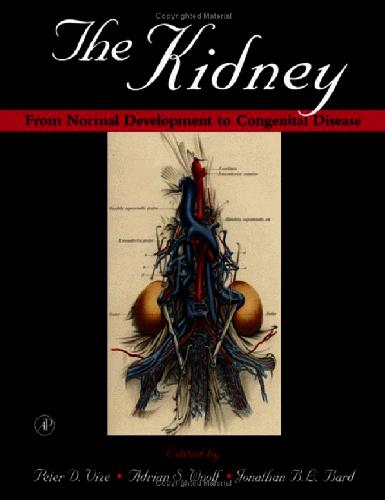 The Kidney