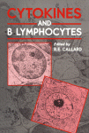 Cytokines and B Lymphocytes