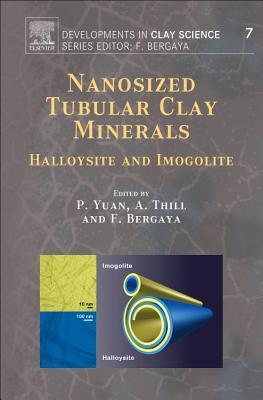 Nanosized Tubular Clay Minerals, 7