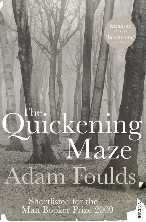 The Quickening Maze