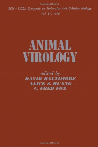 Animal Virology (ICN-UCLA symposia on molecular and cellular biology)