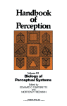 Handbook of Perception (Handbook of perception, v. 3)