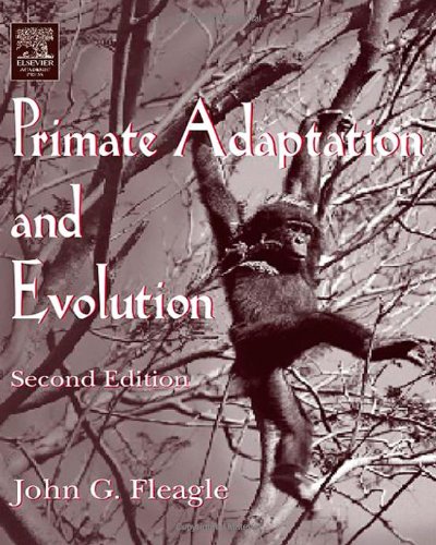 Primate Adaptation and Evolution