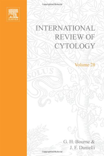 International review of cytology Volume 28