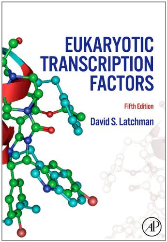 Eukaryotic Transcription Factors