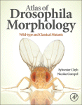 Atlas of Drosophila Genetic Markers