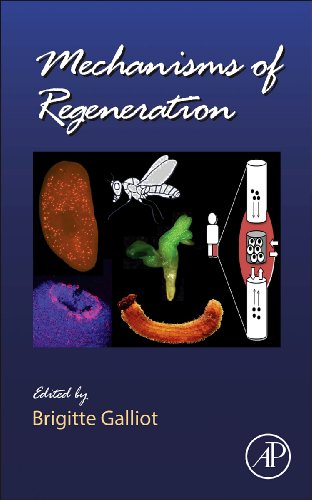 Mechanisms of Regeneration, 108