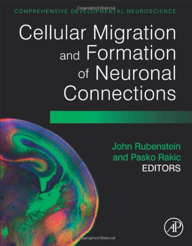 Cellular Migration and Formation of Neuronal Connections