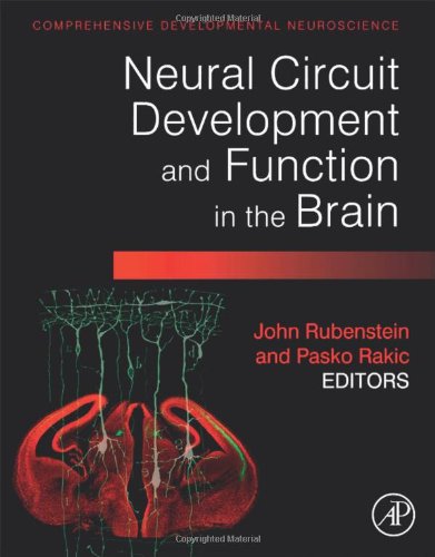 Neural Circuit Development and Function in the Healthy and Diseased Brain