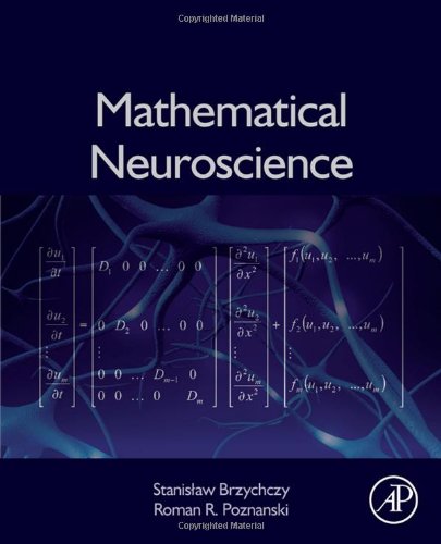 Mathematical Neuroscience