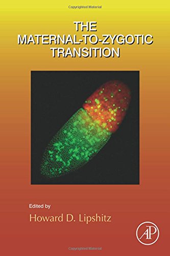 The Maternal-to-Zygotic Transition