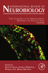 Tissue Engineering of the Peripheral Nerve