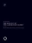 The Biology Of The Laboratory Rabbit