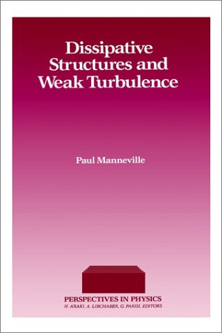 Dissipative Structure &amp; Weak Turbulence (Perspectives in Physics) (Perspectives in Physics)