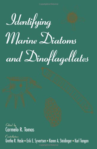 Identifying Marine Diatoms and Donoflagellates