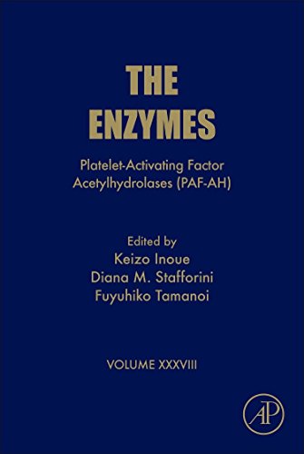 The Enzymes