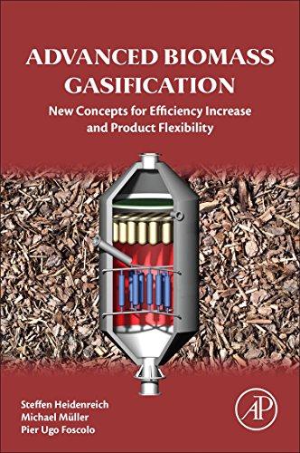 Advanced biomass gasification : new concepts for efficiency increase and product flexibility