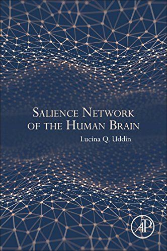 Salience network of the human brain