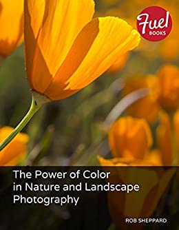 Power of Color in Nature and Landscape Photography