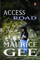 Access Road