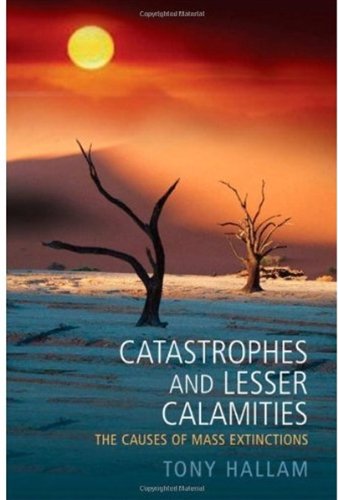 Catastrophes And Lesser Calamities