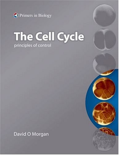 The Cell Cycle