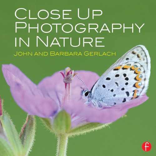 Close up photography in nature