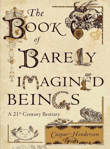 The Book Of Barely Imagined Beings