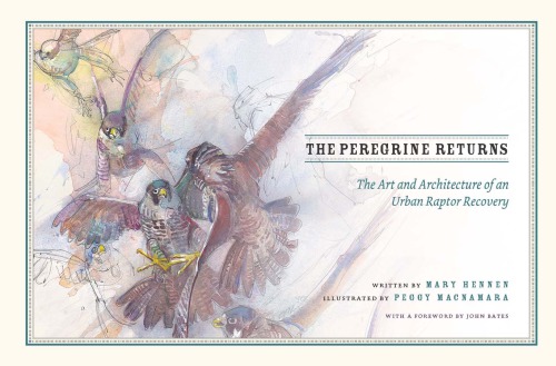 The Peregrine Returns : The Art and Architecture of an Urban Raptor Recovery