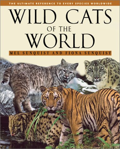 Wild Cats of the World