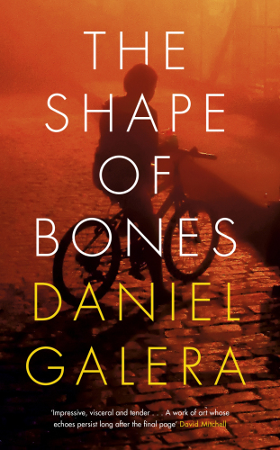 The Shape of Bones