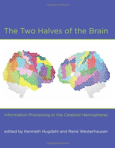 The Two Halves of the Brain