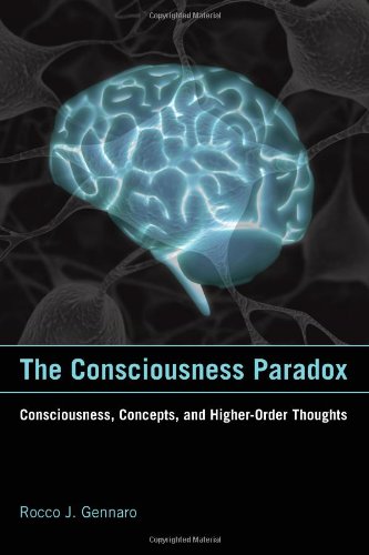The Consciousness Paradox