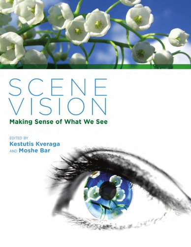 Scene Vision