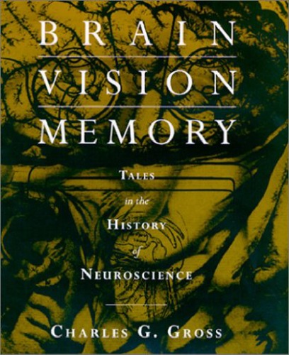 Brain, Vision, Memory