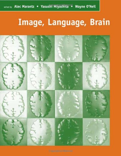 Image, Language, Brain