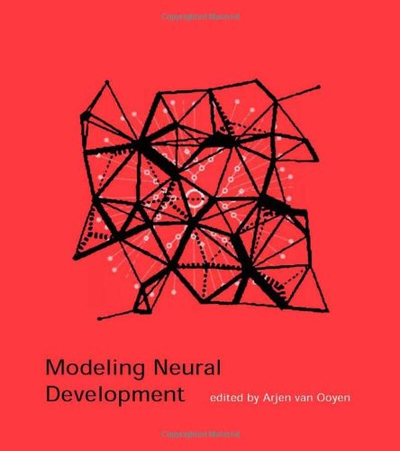 Modeling Neural Development