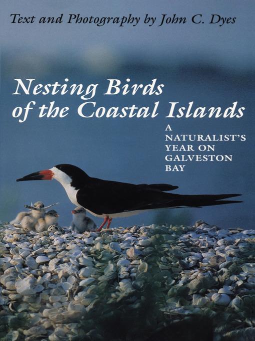 Nesting Birds of the Coastal Islands