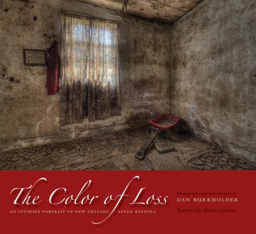 The color of loss : an intimate portrait of New Orleans after Katrina