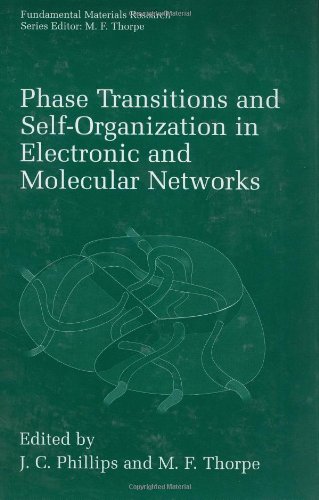 Phase Transitions and Self-Organization in Electronic and Molecular Networks